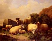 Sheep Grazing By The Coast - 尤金·约瑟夫·维保盖文